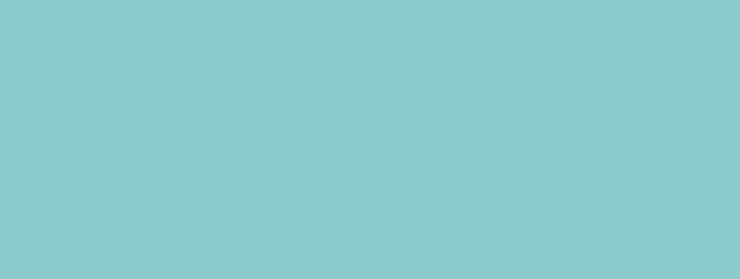 Portfolio Item Example